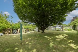Photo 41- click for photo gallery